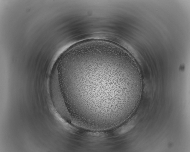 X0000092100939200709191304