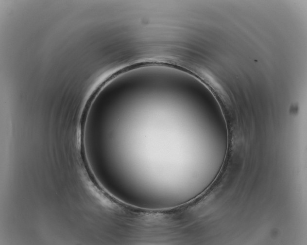 X0000092100940200709191304