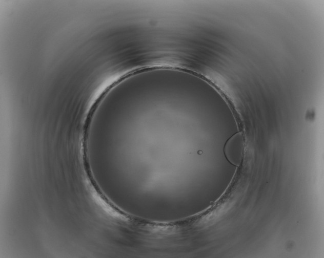 X0000092100941200709191304