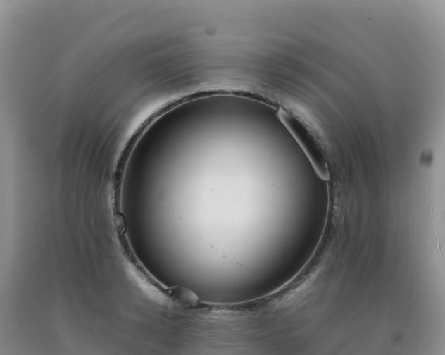 X0000092100942200709191304