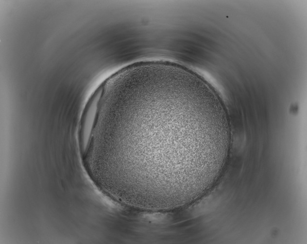 X0000092100943200709191304