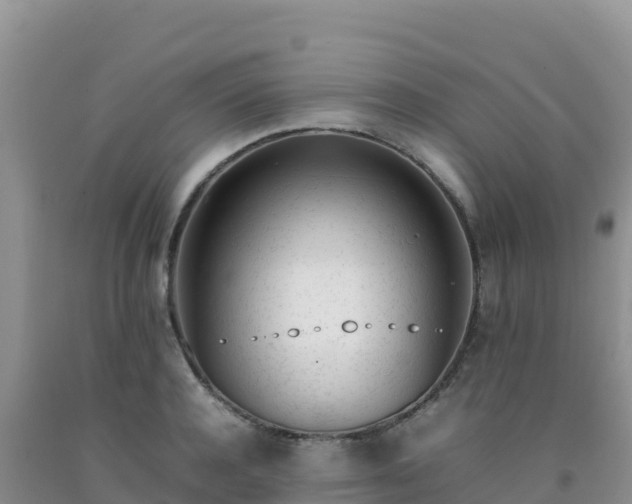 X0000092100944200709191304