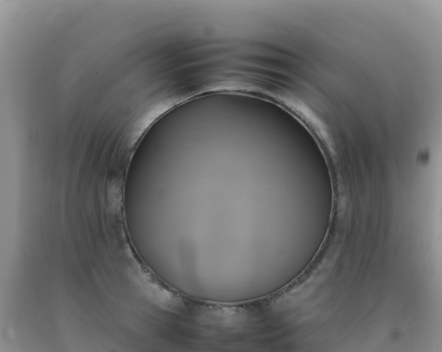 X0000092100945200709191304