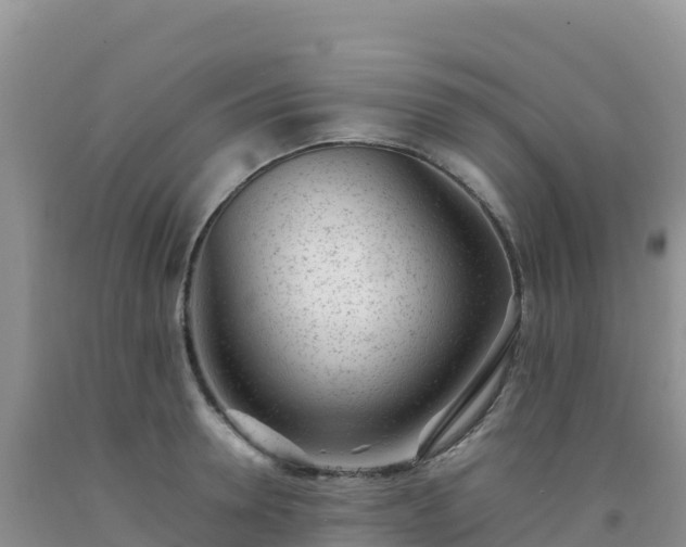 X0000092100946200709191304