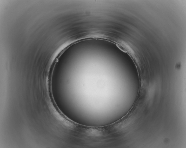 X0000092100947200709191304