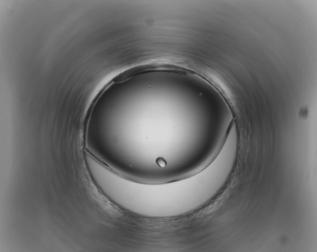 X0000092100948200709191304