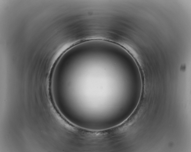 X0000092100949200709191304