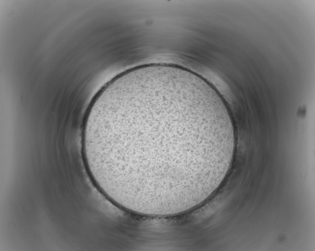 X0000092100950200709191304