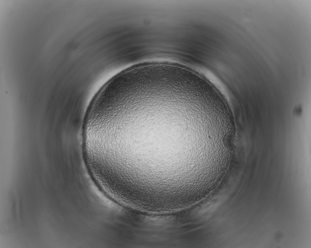 X0000092100951200709191304