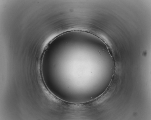 X0000092100952200709191304