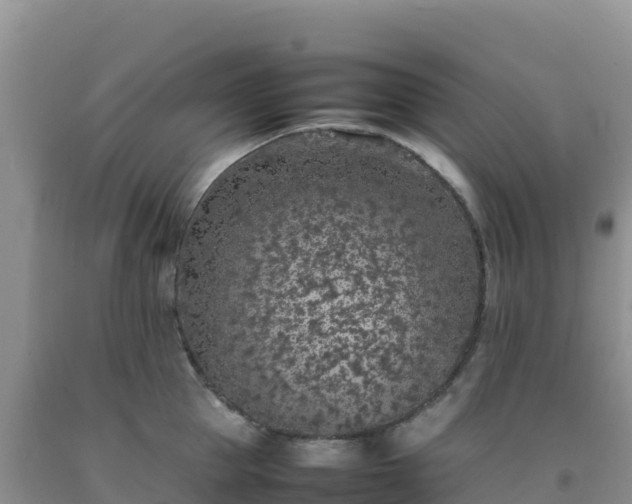 X0000092100953200709191304