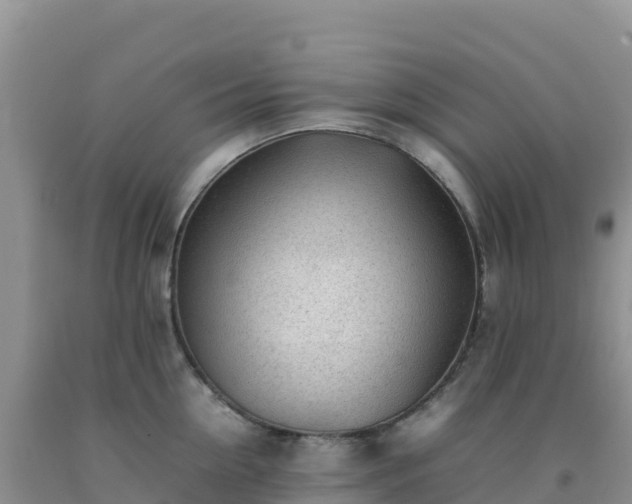 X0000092100954200709191304