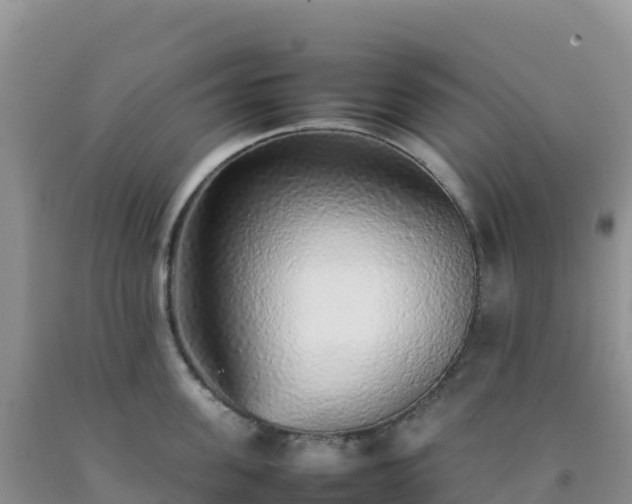 X0000092100955200709191304