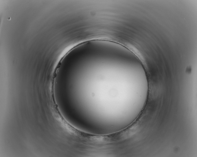 X0000092100956200709191304