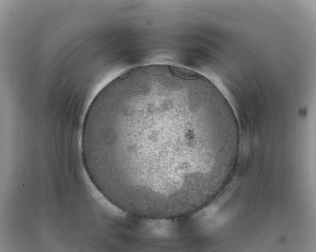 X0000092100957200709191304