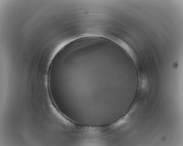 X0000092100958200709191304