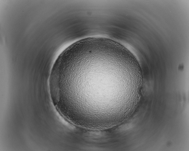 X0000092100959200709191304