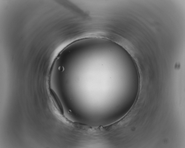 X0000092100960200709191304