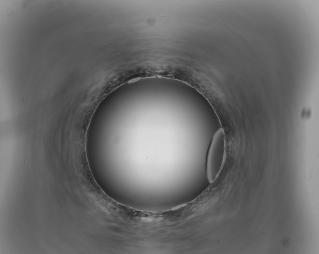 X0000092100961200709191303