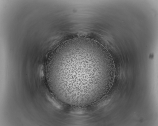 X0000092100962200709191303