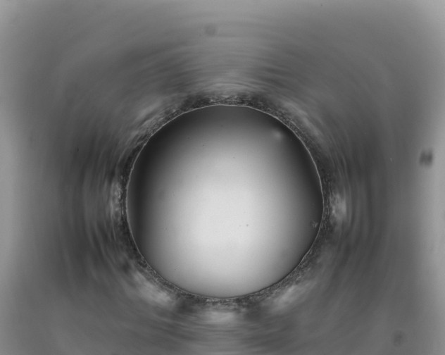 X0000092100964200709191303