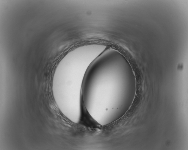 X0000092100965200709191303