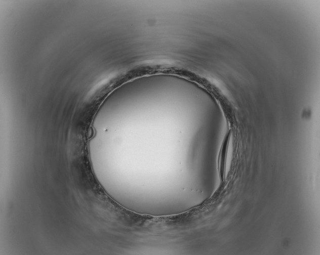 X0000092100967200709191303