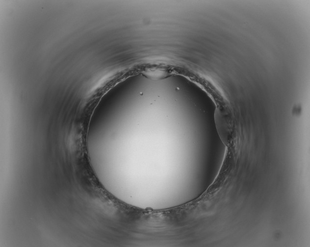 X0000092100968200709191303