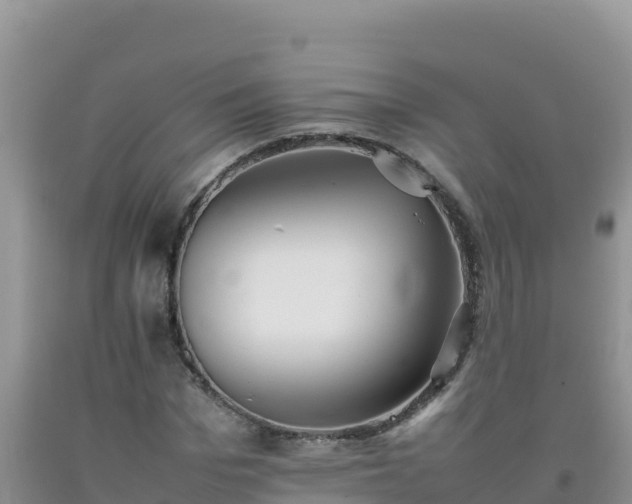 X0000092100969200709191303