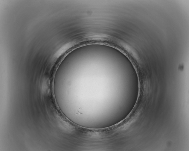 X0000092100970200709191303