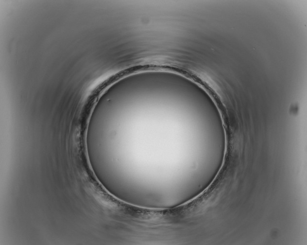 X0000092100971200709191303