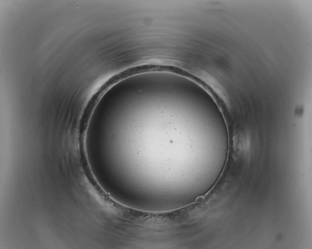 X0000092100972200709191303