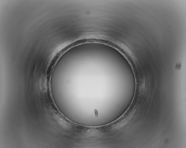 X0000092100974200709191303