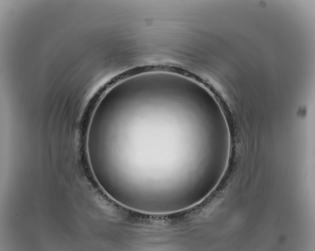 X0000092100975200709191303