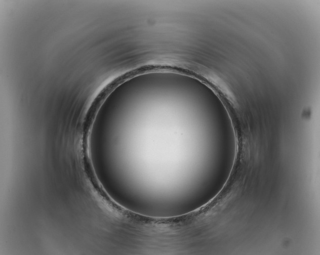 X0000092100976200709191303