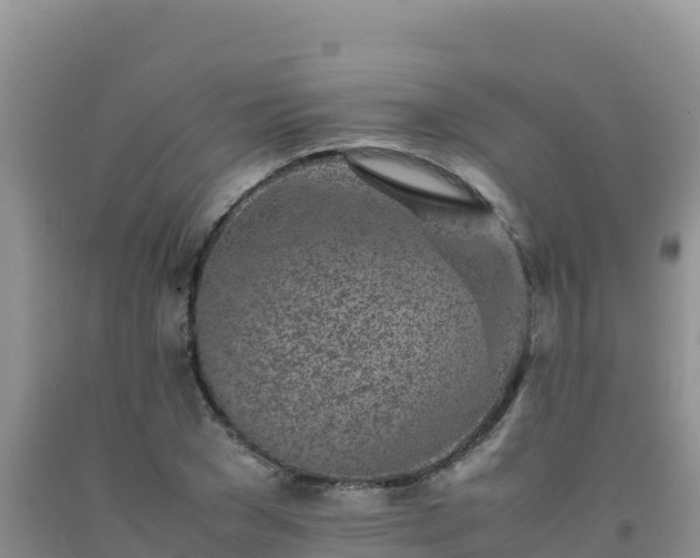 X0000092100977200709191303