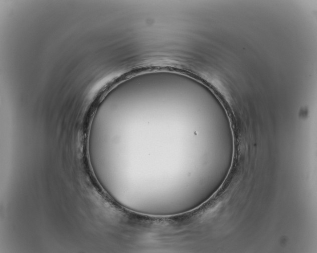 X0000092100979200709191303