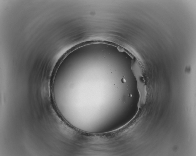 X0000092100980200709191303