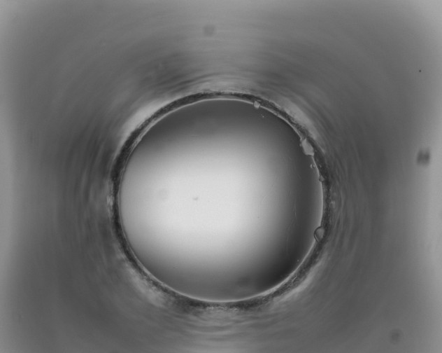 X0000092100981200709191303