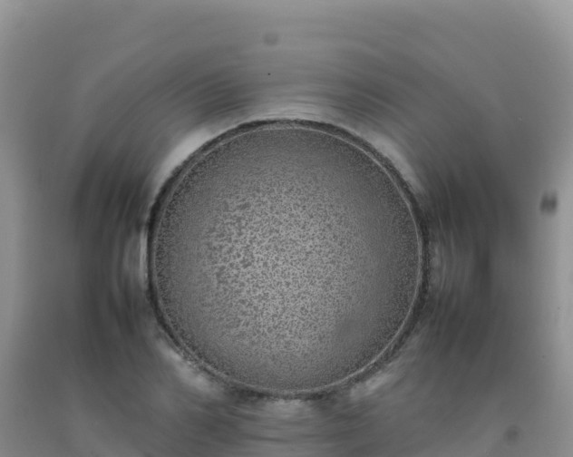 X0000092100982200709191303