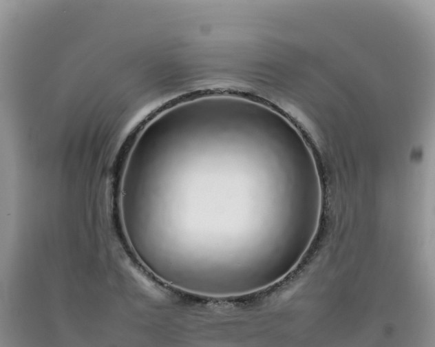 X0000092100983200709191303