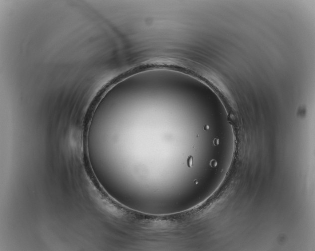 X0000092100984200709191303