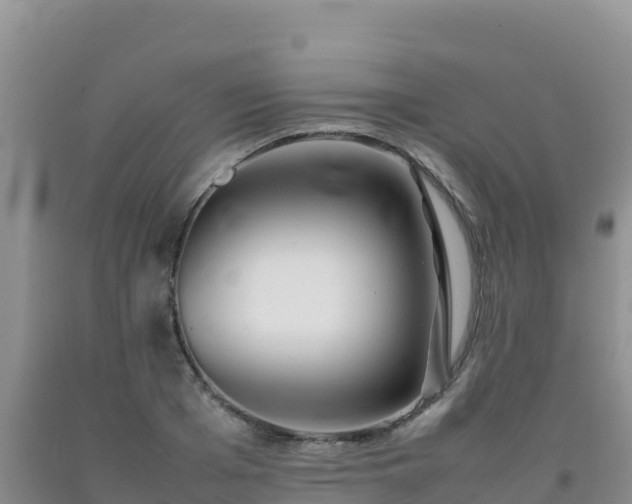 X0000092100985200709191303