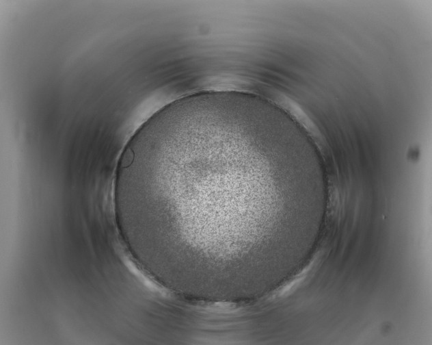 X0000092100986200709191303