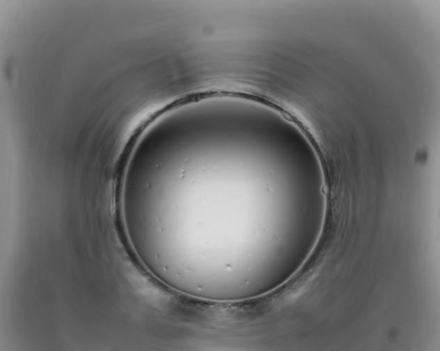 X0000092100987200709191303