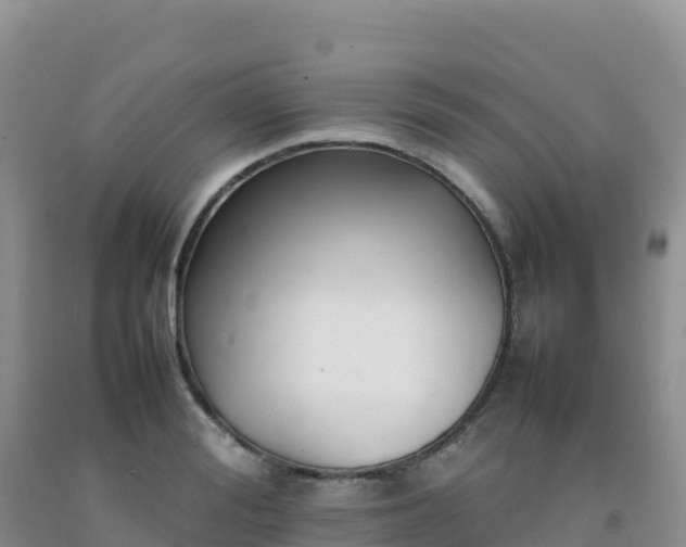 X0000092100988200709191303