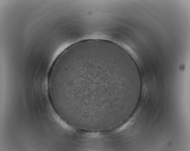 X0000092100990200709191303