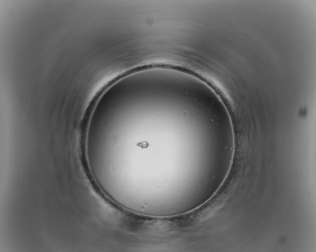 X0000092100991200709191303