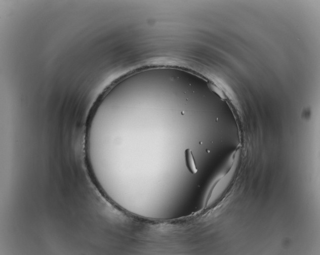 X0000092100992200709191303