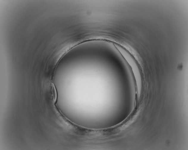 X0000092100993200709191303